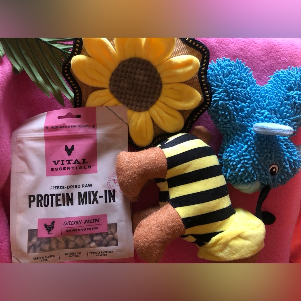 Lot of 4 large dog plush squeek toys and 6oz bag Vital Essentials Protein